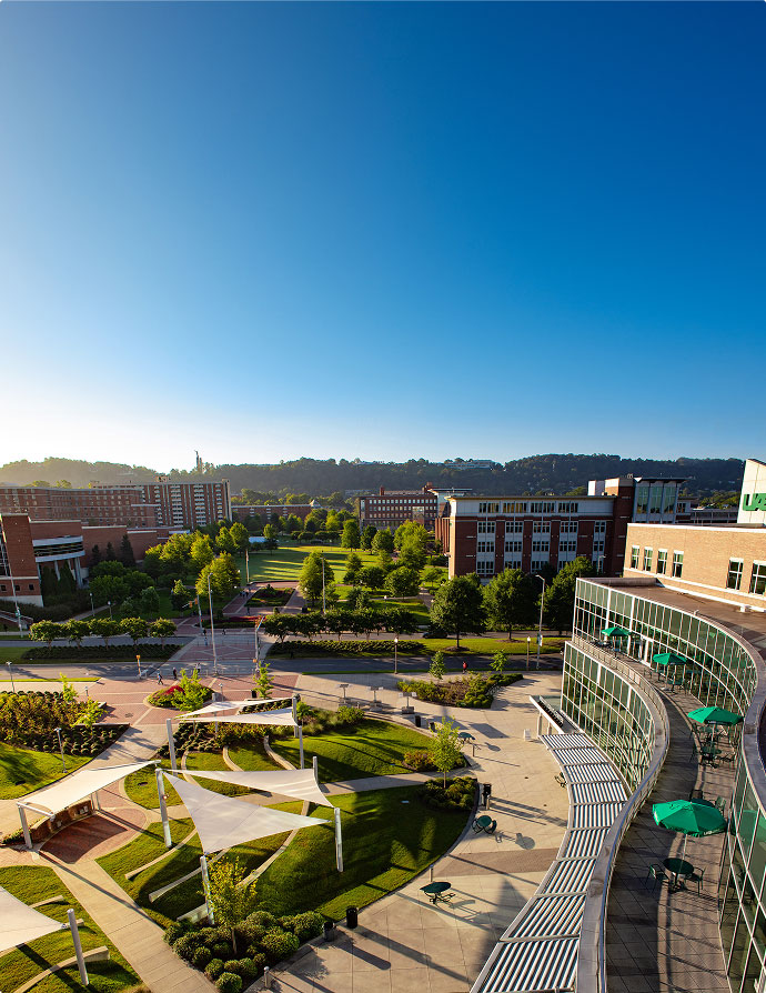 View of Campus Green from Hill Student Center