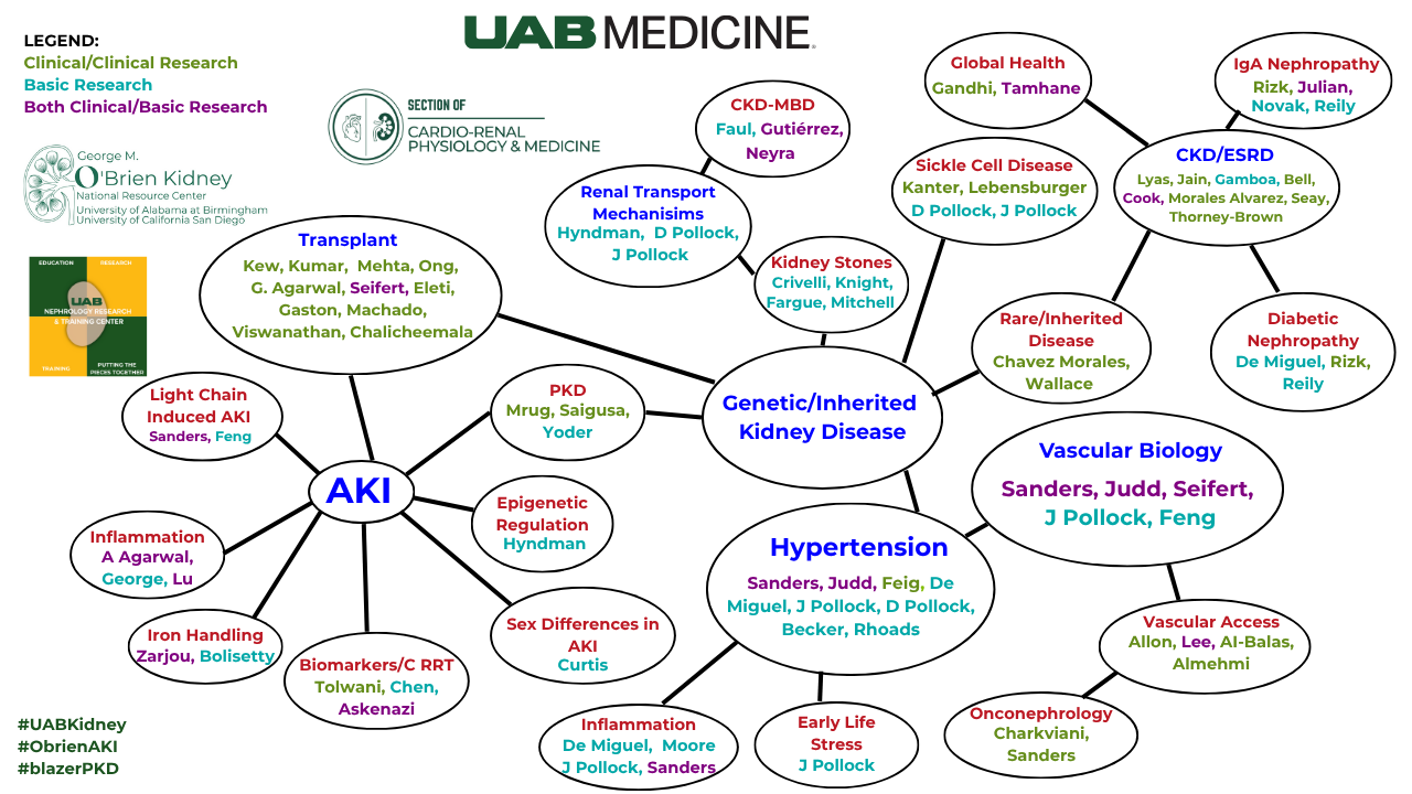 basic research neph website updated 10.25 3