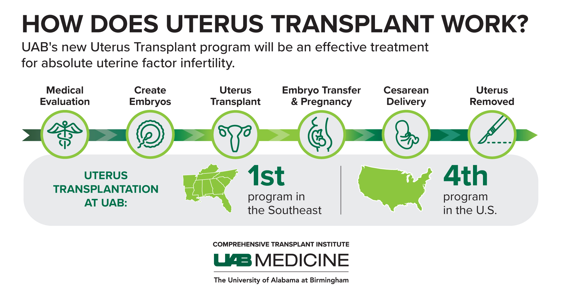 Uterus Transplant graphic 1 1