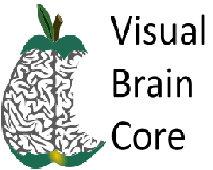 Visual Brain Core