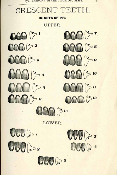 IllustratedDental p13