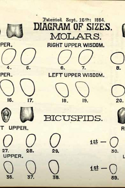 IllustratedDental p19