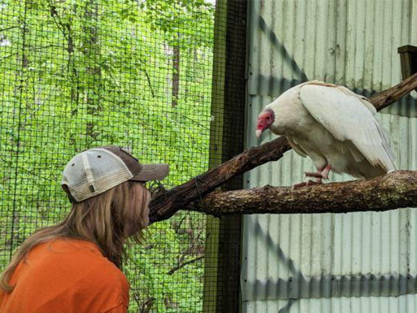 Photo of UAB Sophomore Amelia Hawkins interacting with the white vulture named "Princess"