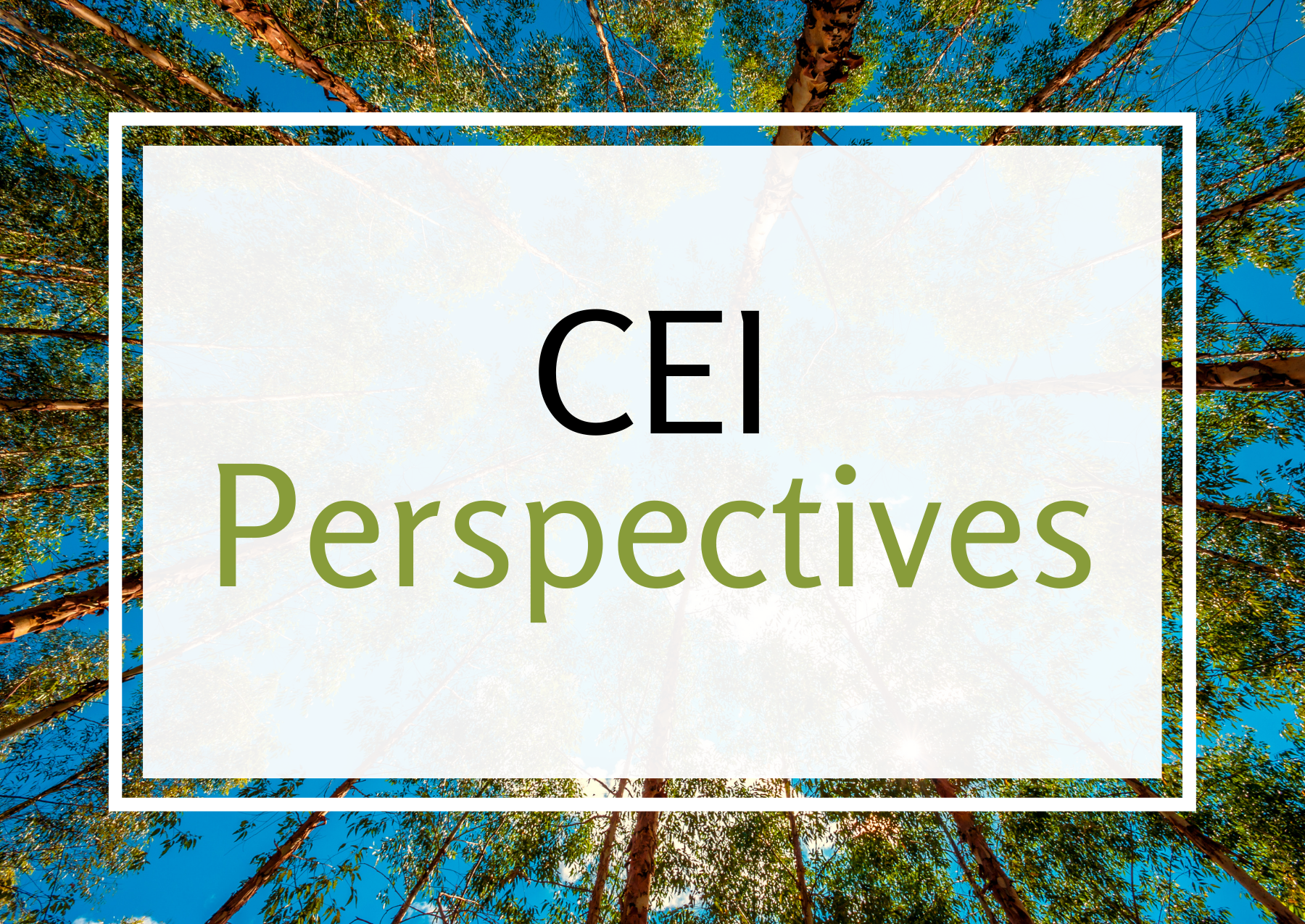 CEI Perspectives