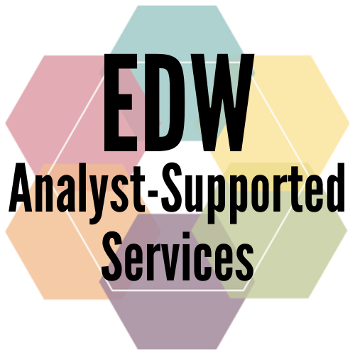 EDW Analyst-Supported Services: Complicated Queries Made Simple