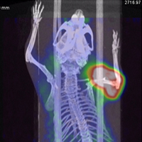 CCTS and UAB Dept. of Radiology Launch 2019 Imaging Pilot