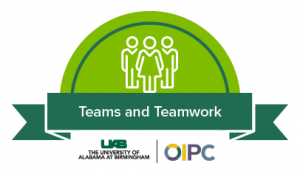 Teams and Teamwork Module