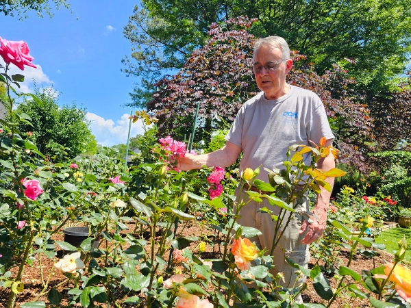 Dr. Bobby Babb in his rose garden