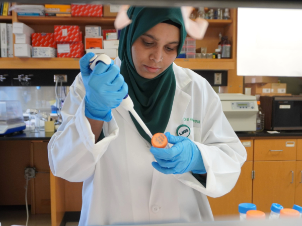 Funding Opportunities