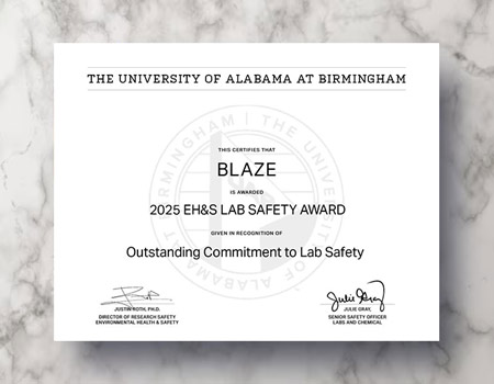 Another random descriptive image