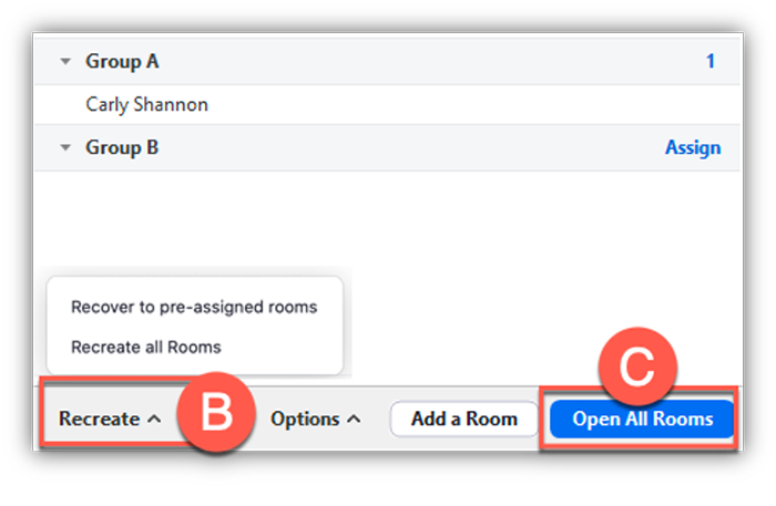 pre assign zoom breakout rooms