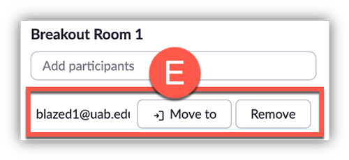 pre assign zoom breakout rooms