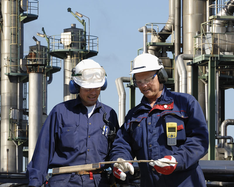 Human and Organizational Performance: Champions Course