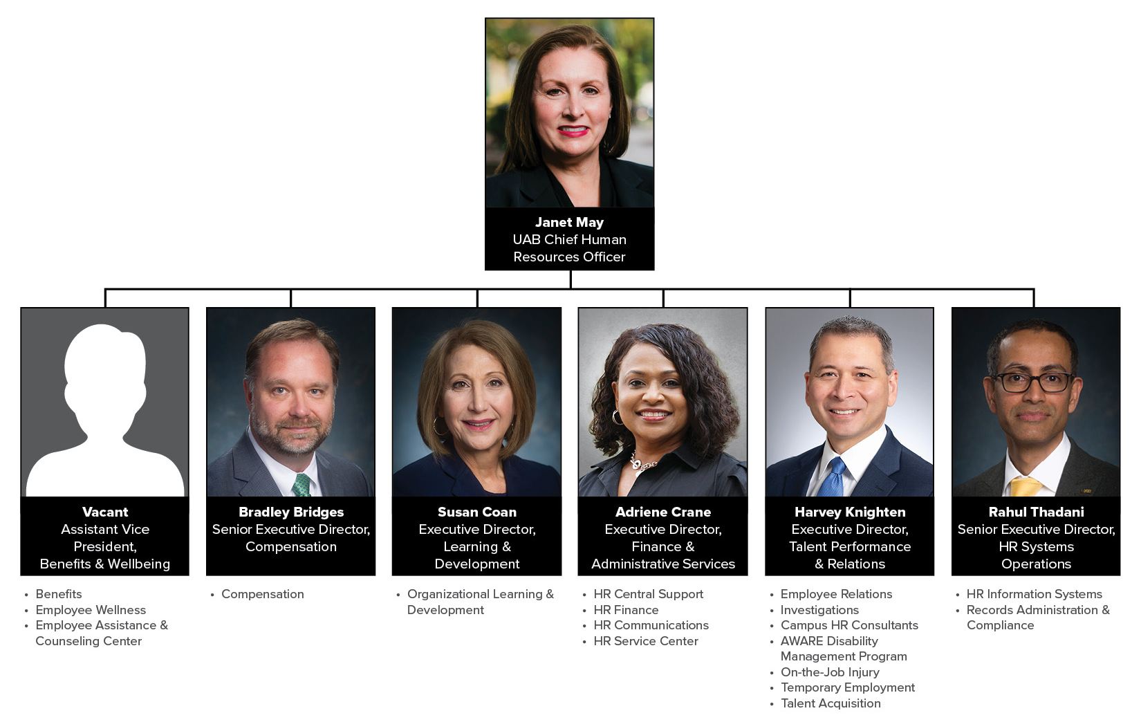 Hr Organizational Chart Human Resources Uab