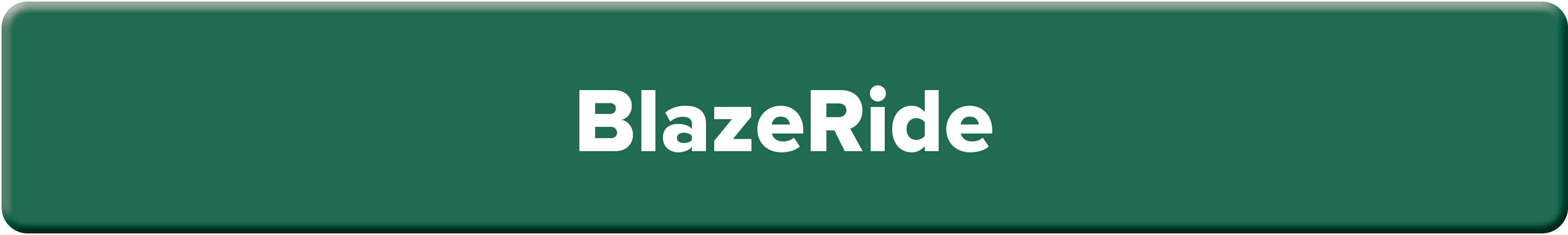 BlazeRide