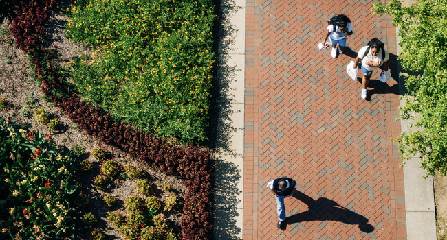 UAB establishes data community of practice