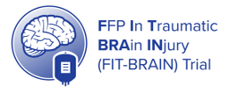 FIT Brain logo