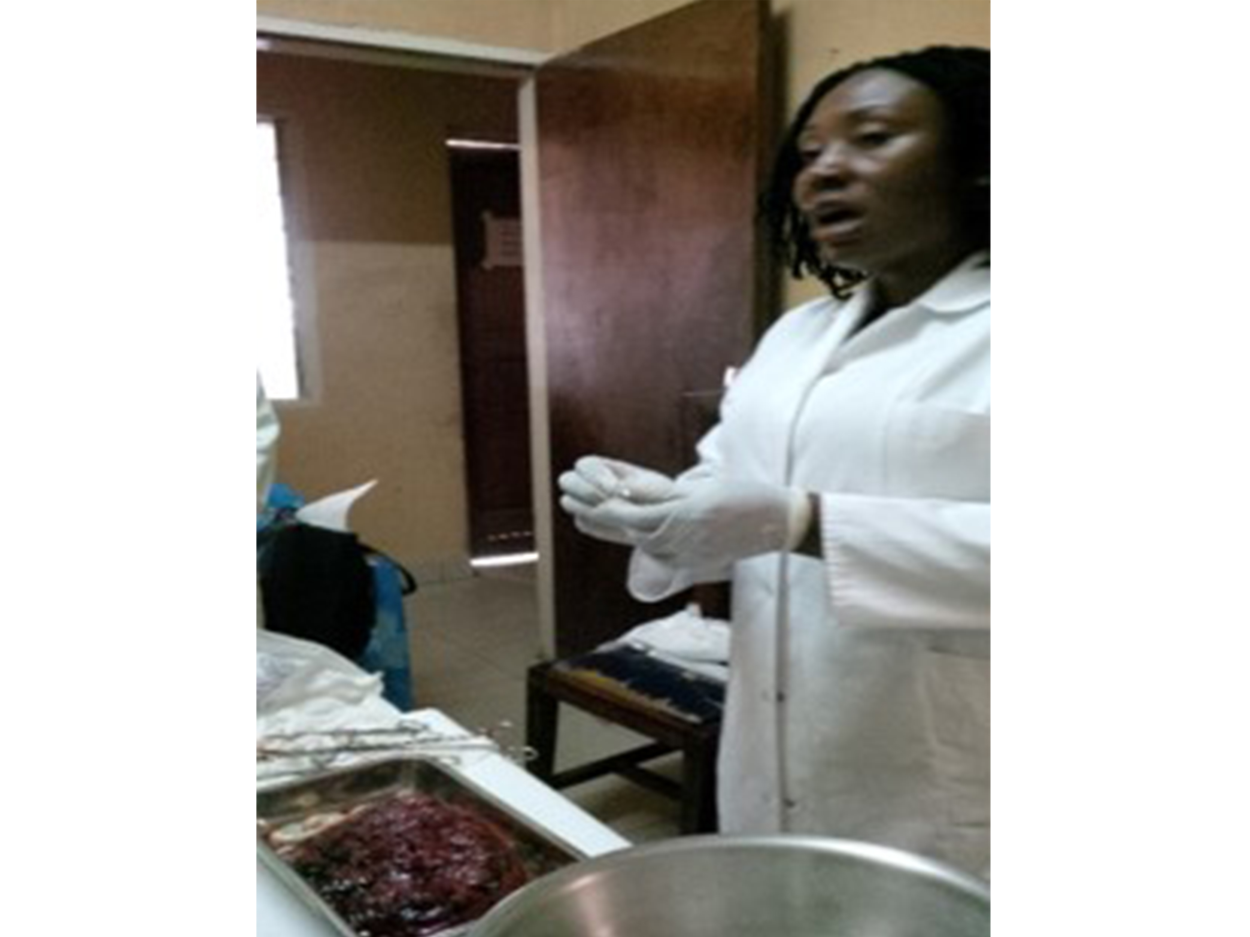 CHI UAB collaborator Dr. Judith Anchang-Kimbi at the University of Buea, expert in placental malaria