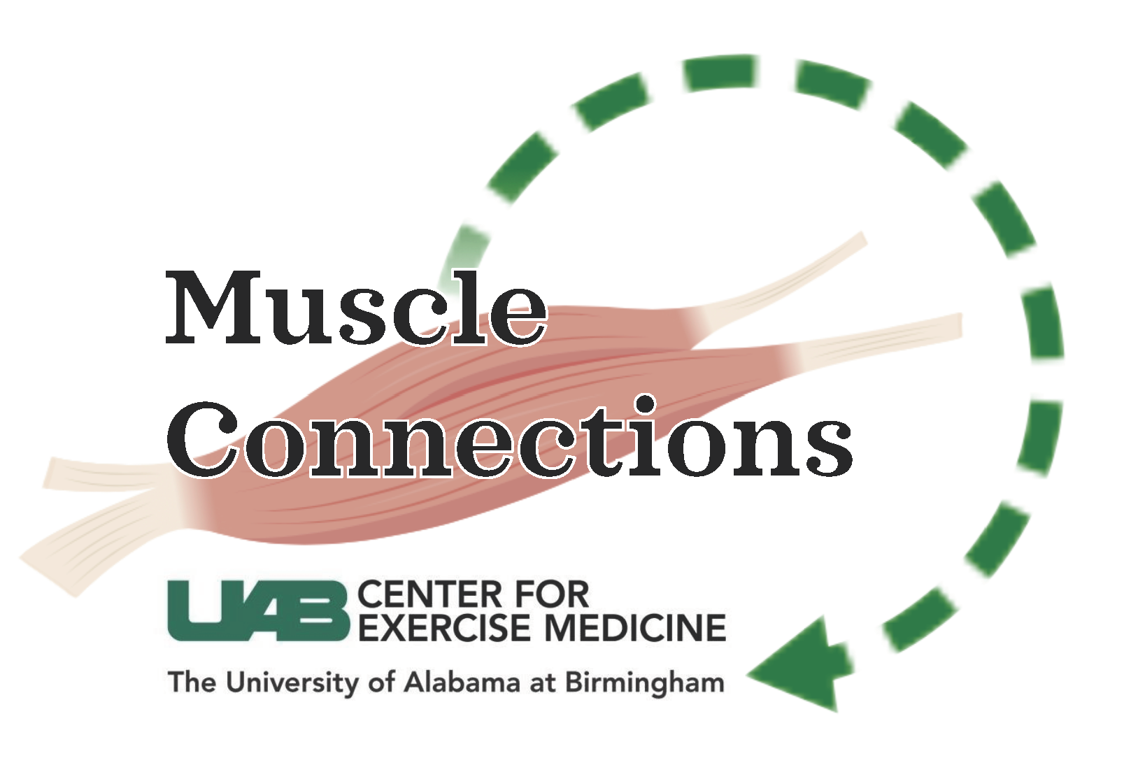 Muscle Connections image