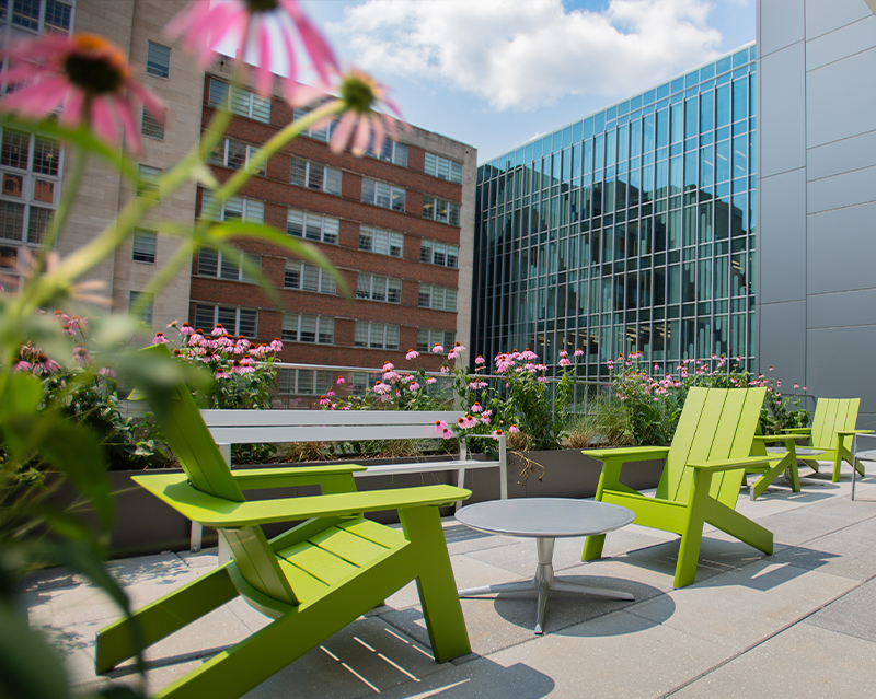 group of students studying