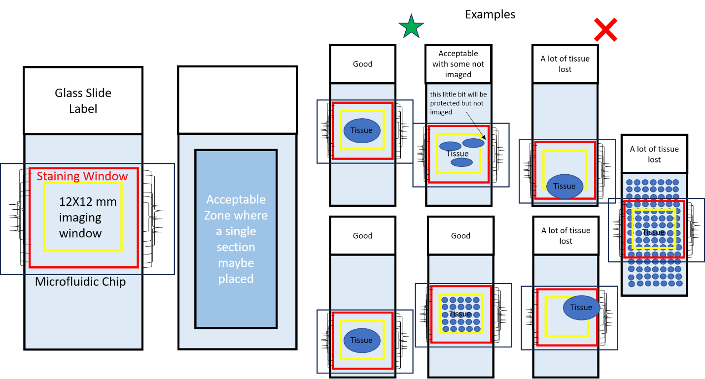 Sample Preparation