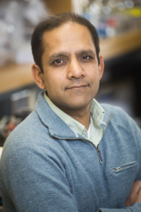 Rakesh Patel, Ph.D.