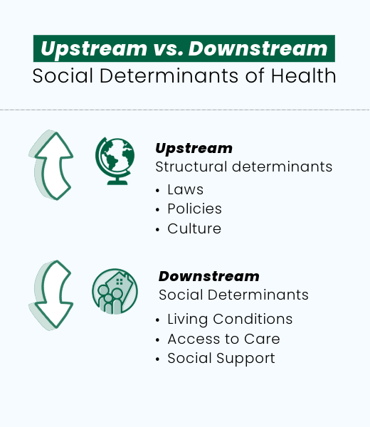 SDH Upstream Downstream Visual v3