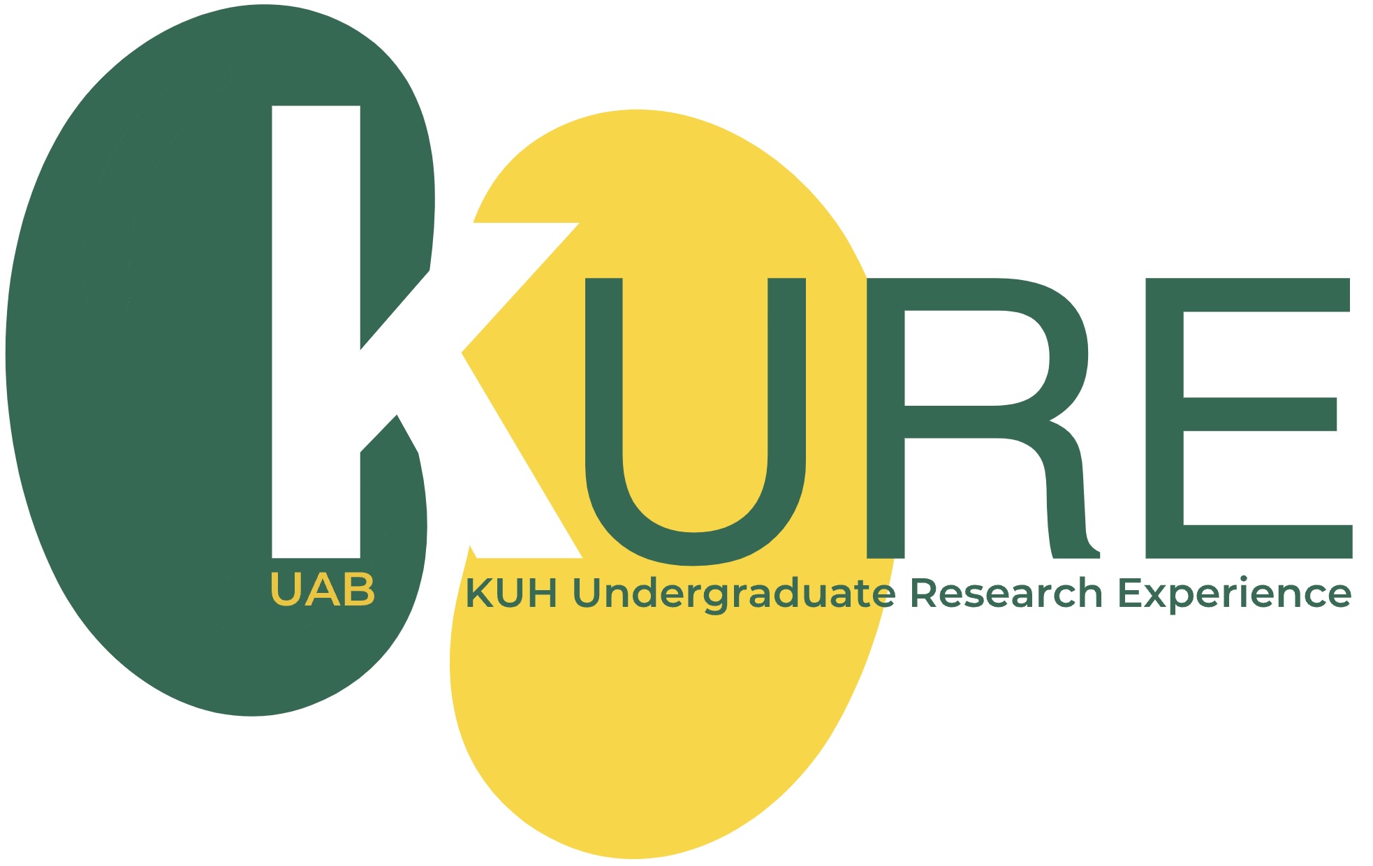 KURE (Kidney, Urology, Hematology Undergraduate Research Experience)