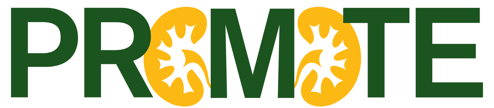 PRedOctoral PhD & MD research training in TEams (PROMOTE)