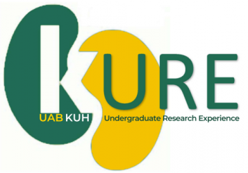Kidney, Urology, and Hematology Undergraduate Research Experience (KURE)