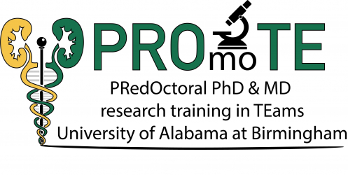 Predoctoral PhD & MD Research Training in Teams (PROMOTE)
