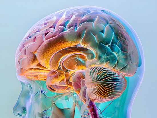Colorful brain illustration