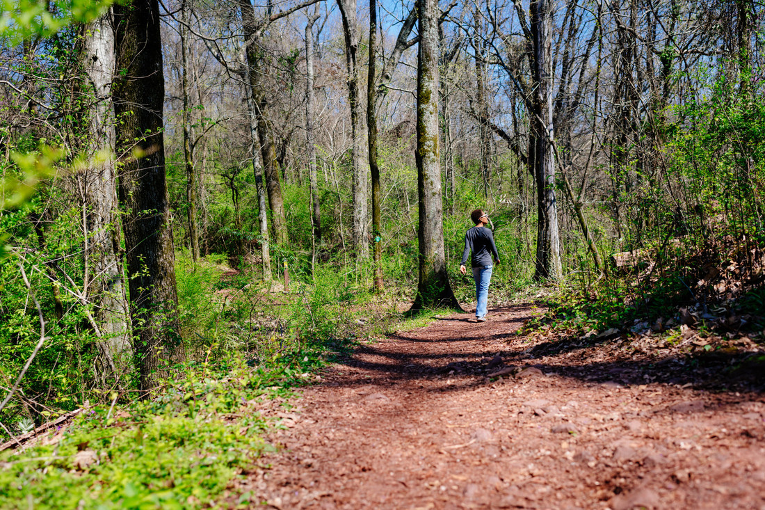 Dirt walking trail through wooded area