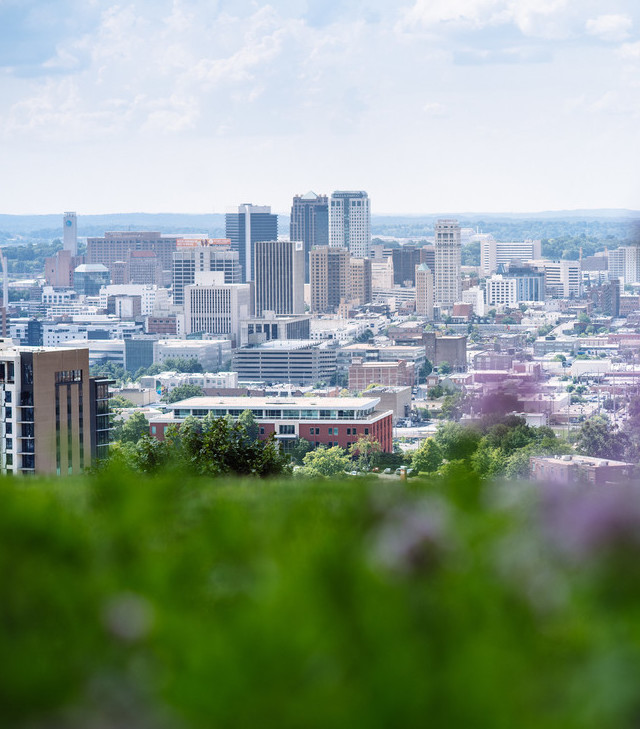 View of downtown Birmingham from a grassy hill