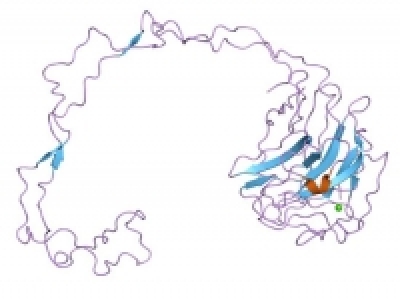 One-step protein purification achieves high yields, purity and activity