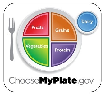 cozzi3 MyPlate figure