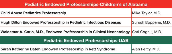 Endowed Professorships