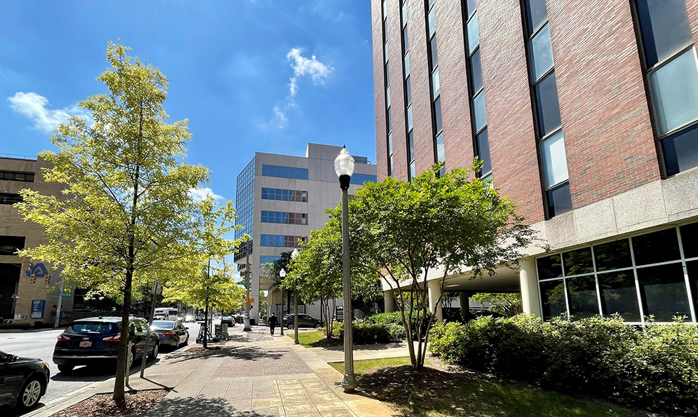 image of UAB Sparks Center