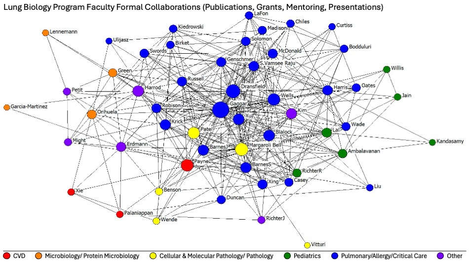 Figure 1. Lung Biology Program Faculty Formal Collaboration (Publication, Grants, Meeting, Presentation)