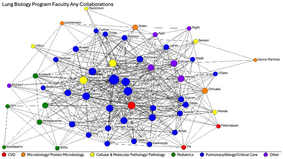 Figure 2. Lung Biology Program Faculty Any Collaboration