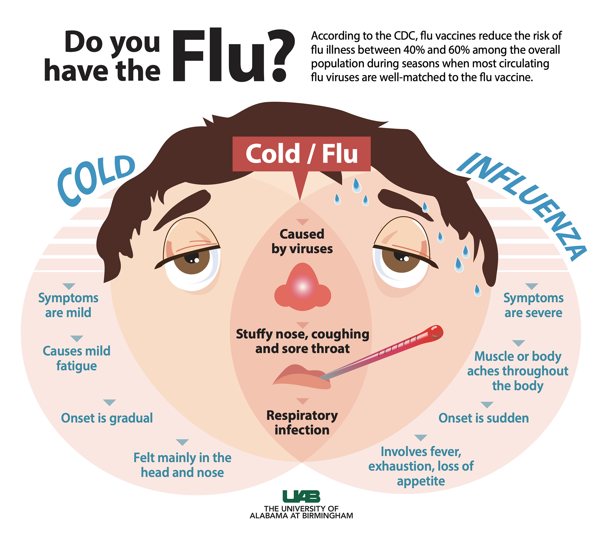 Flu Vs. Cold Graphic Copy 