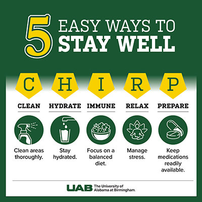 small 5 Tips to Stay Well holiday graphic 2