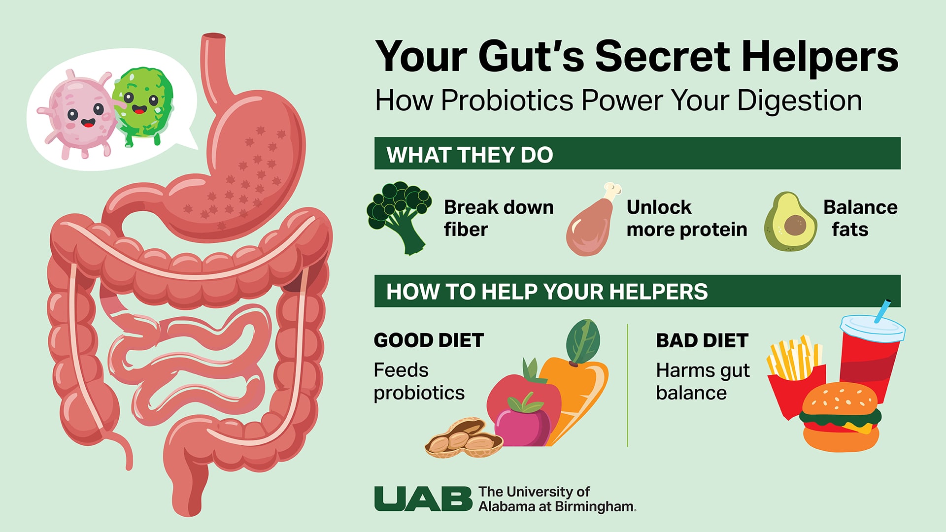 Gut health probiotics 1920x1080