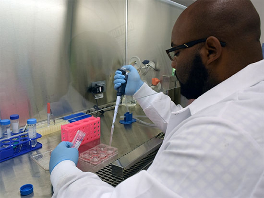 Biomedical Workforce Program Proves Successful In Encouraging Diversity ...