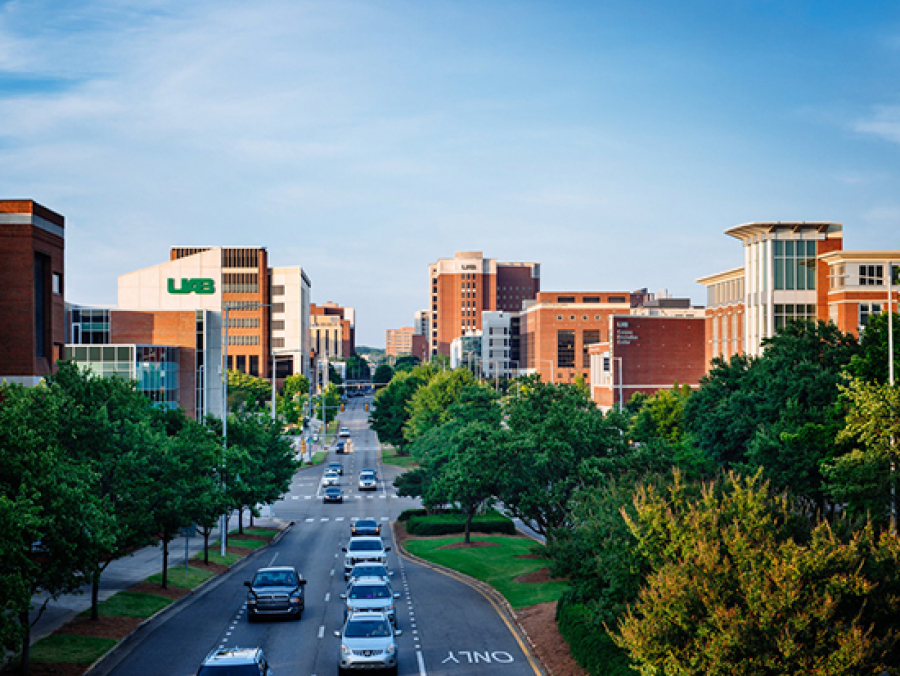 Heersink School Of Medicine Identifies Four New Research Focus Areas ...