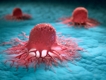 Key regulator that induces cancer-killing capacity in T cells under hypoxia is identified