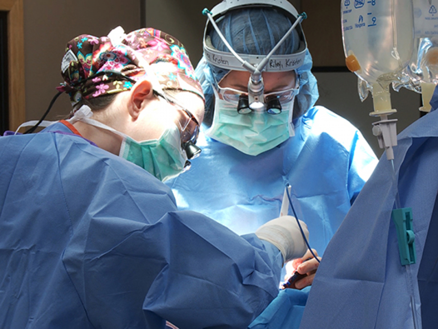 neurosurgeons operating