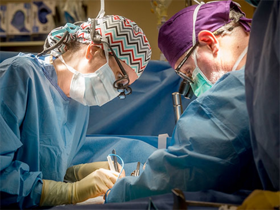 UAB Performs Deep South’s First HIV-positive Kidney Transplant From HIV ...