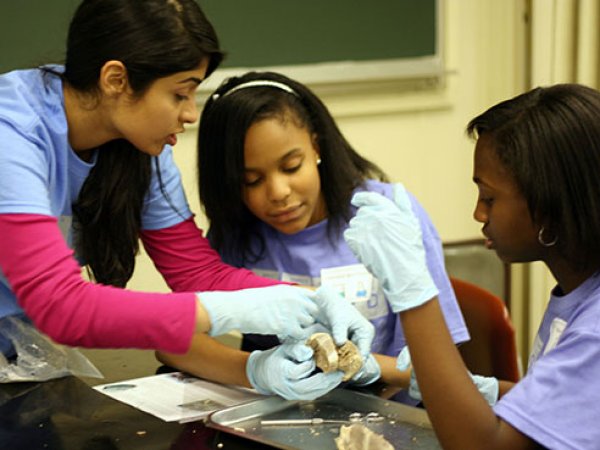 Girls in Science and Engineering Day inspires young women to excel in ...