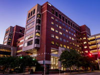 UAB establishes uterus transplant program